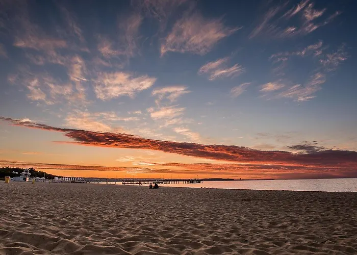 Plumtree アパート グダニスク